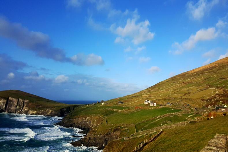 DON'T MISS your FREE 2018 calendar inside this week's Irish Farmers Journal DON'T MISS your FREE 2018 calendar inside this week's Irish Farmers Journal