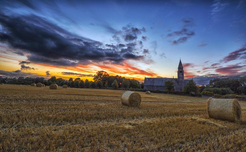 DON'T MISS your FREE 2018 calendar inside this week's Irish Farmers Journal DON'T MISS your FREE 2018 calendar inside this week's Irish Farmers Journal