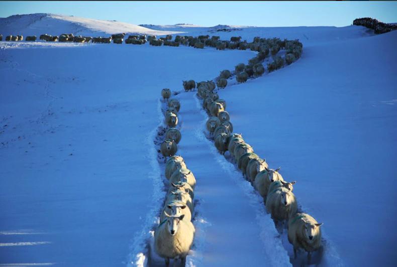 Farmer Writes: the trials and tribulations of TB Farmer Writes: the trials and tribulations of TB