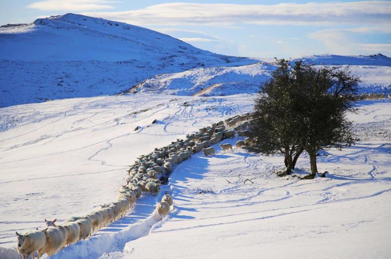 Farmer Writes: the trials and tribulations of TB Farmer Writes: the trials and tribulations of TB