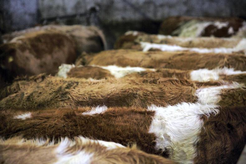 Farmer Writes: farmers don't like uncomfortable truths Farmer Writes: farmers don't like uncomfortable truths