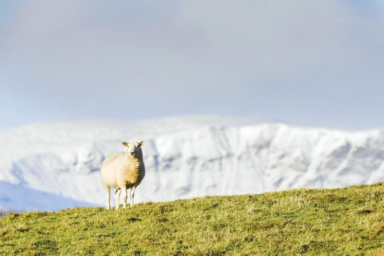Scotswoman to investigate sustainability of rural communities Scotswoman to investigate sustainability of rural communities