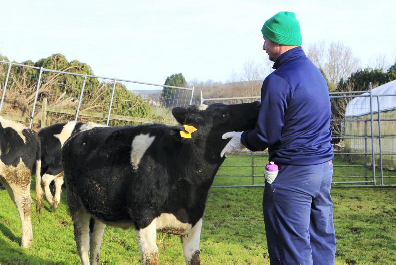 Watch and listen: Irish prison programme helping families in Africa ...