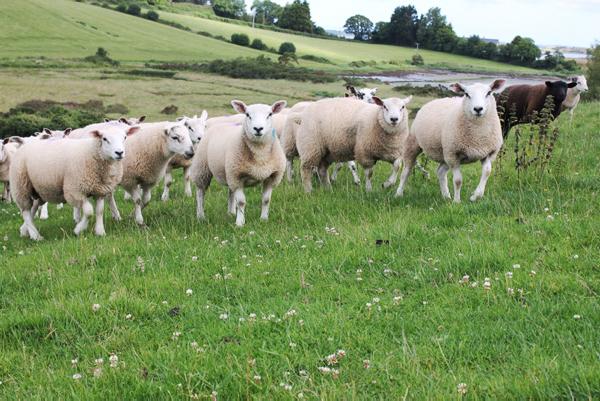 News in-brief from Northern Ireland News in-brief from Northern Ireland