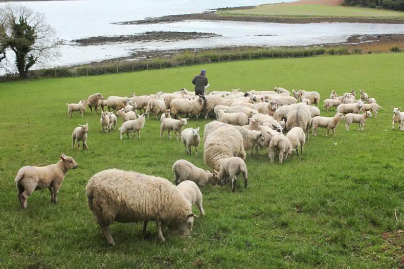 Trade talks to take centre stage in 2018 Trade talks to take centre stage in 2018