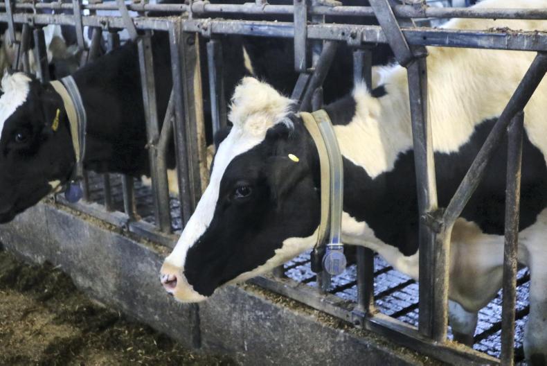 The dawning of a new technological age in dairy farming The dawning of a new technological age in dairy farming