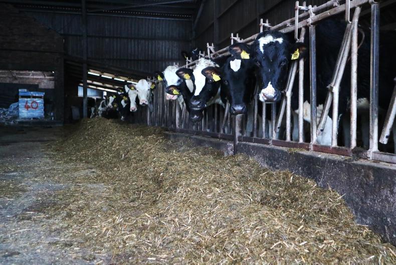 The dawning of a new technological age in dairy farming The dawning of a new technological age in dairy farming
