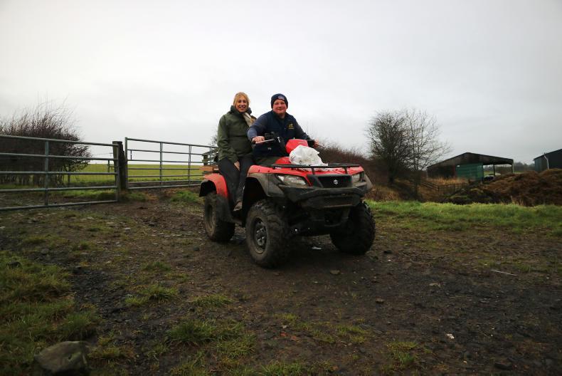 The flying heifer herd - making cashflow key The flying heifer herd - making cashflow key