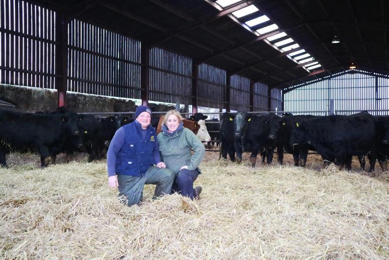 The flying heifer herd - making cashflow key The flying heifer herd - making cashflow key
