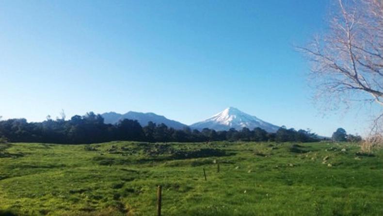 Farmer Writes: drying off cows to cope with drought
Farmer Writes: drying off cows to cope with drought