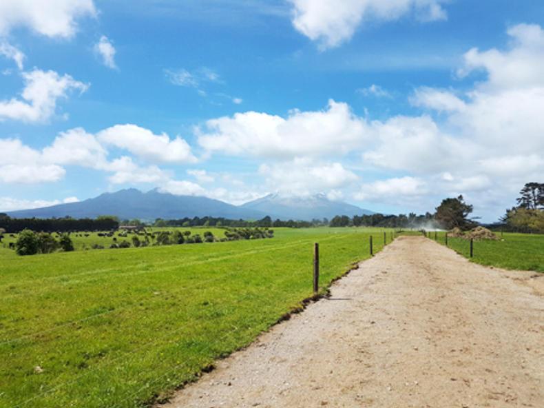 Farmer Writes: drying off cows to cope with drought
Farmer Writes: drying off cows to cope with drought