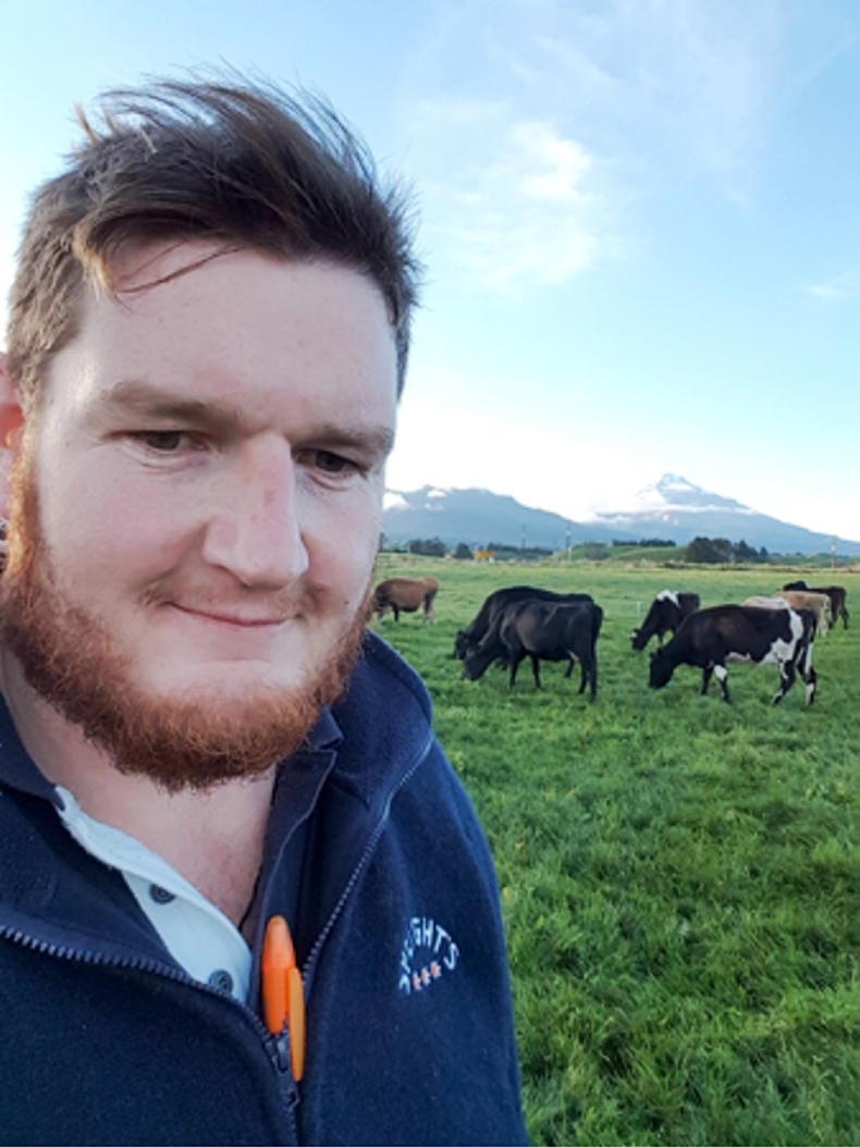 Farmer Writes: drying off cows to cope with drought
Farmer Writes: drying off cows to cope with drought