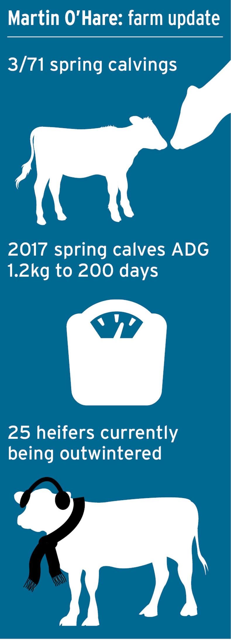 Calving 2018 kicks off in Louth Calving 2018 kicks off in Louth