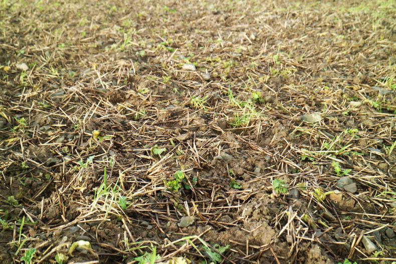 Calving 2018 kicks off in Louth Calving 2018 kicks off in Louth