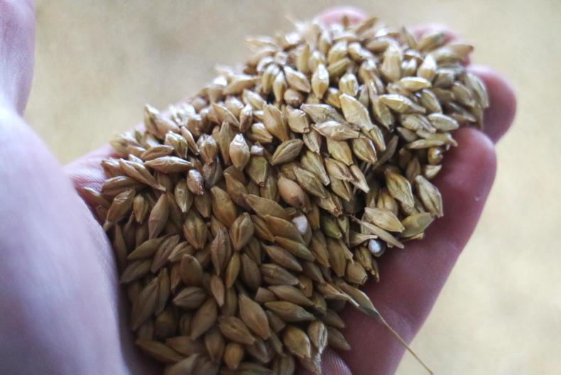 Calving 2018 kicks off in Louth Calving 2018 kicks off in Louth