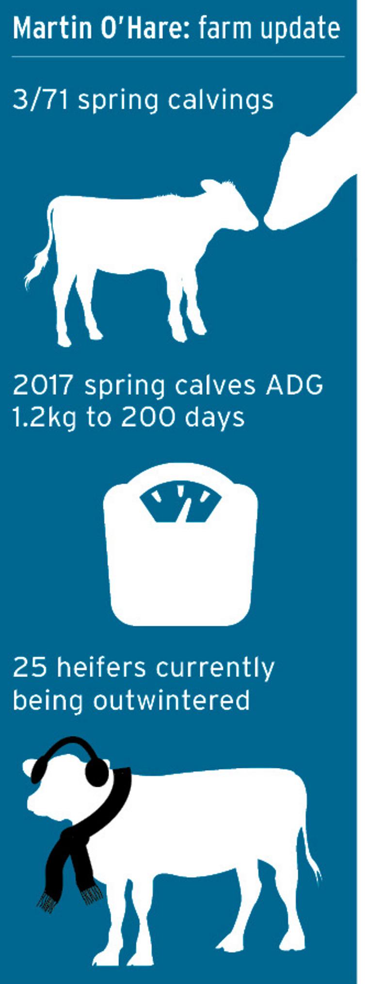 Calving 2018 kicks off in Louth Calving 2018 kicks off in Louth