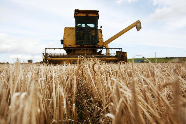 What varieties to look out for in 2018 What varieties to look out for in 2018