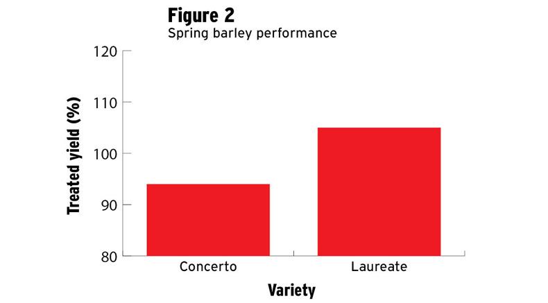 What varieties to look out for in 2018 What varieties to look out for in 2018