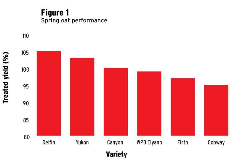 What varieties to look out for in 2018 What varieties to look out for in 2018