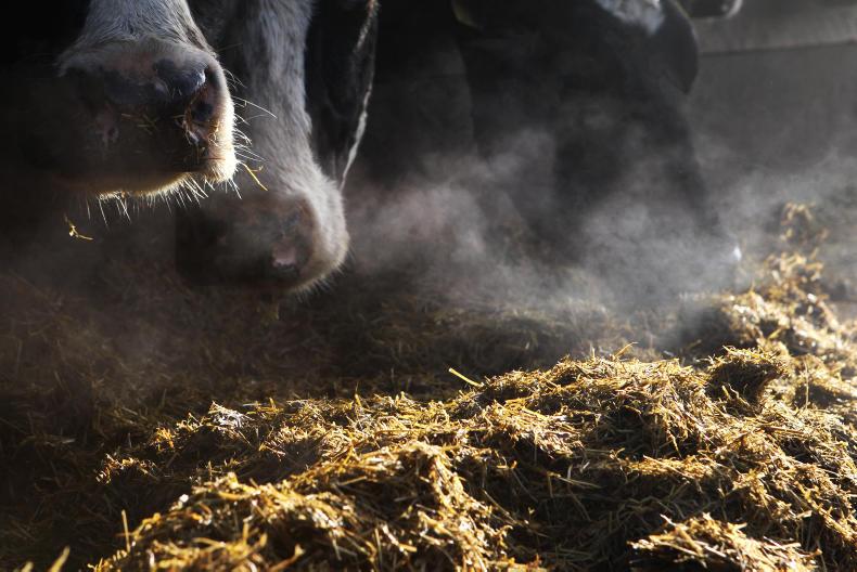 Farming projects among BT Young Scientist & Technology Exhibition winners Farming projects among BT Young Scientist & Technology Exhibition winners