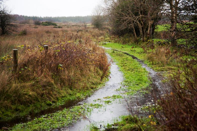 Weekly weather: a cold and unsettled week ahead Weekly weather: a cold and unsettled week ahead
