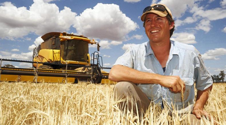 Farmer Writes: dryness and frost robbed our yield potential Farmer Writes: dryness and frost robbed our yield potential