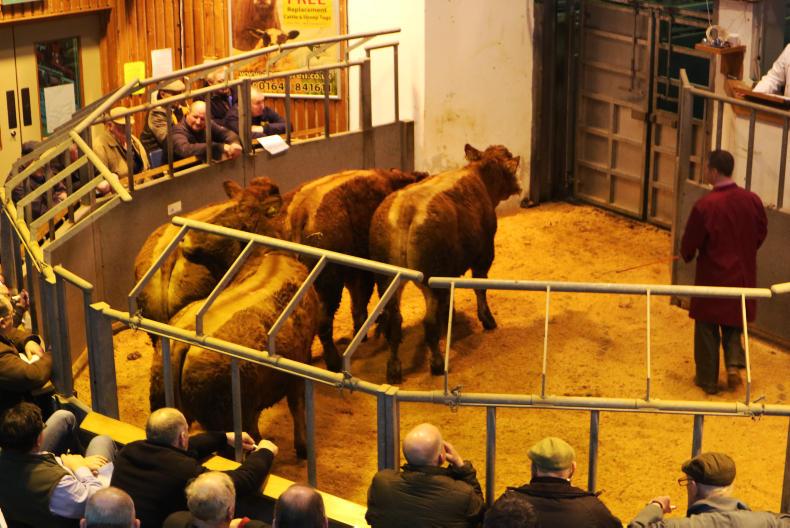 Orkney shocked by closure of local abattoir Orkney shocked by closure of local abattoir