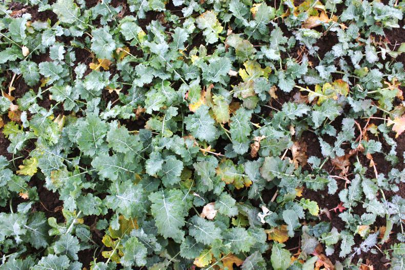 It's time to get the plan of action in place It's time to get the plan of action in place