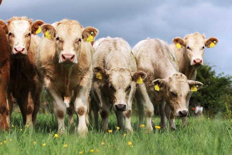 Low input permanent pasture under GLAS – are you up to date? Low input permanent pasture under GLAS – are you up to date?