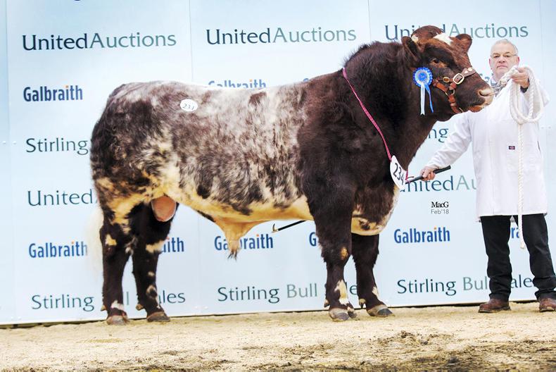 Millerstown Kasper leads the way at Stirling Millerstown Kasper leads the way at Stirling