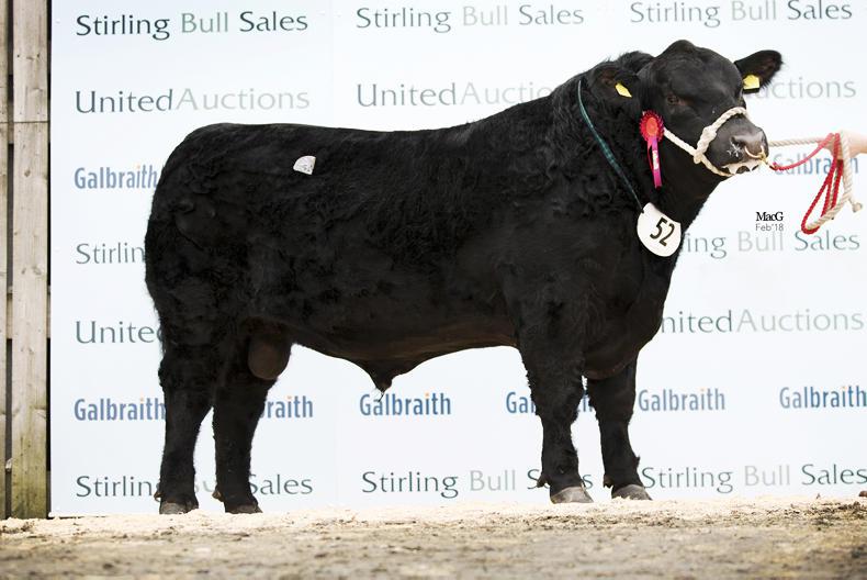 Millerstown Kasper leads the way at Stirling Millerstown Kasper leads the way at Stirling