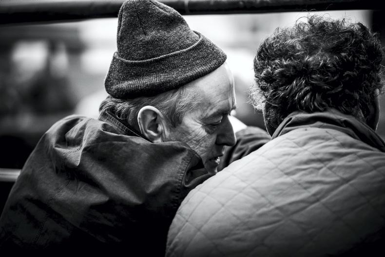 This week in photos: mart action, first milk collection and feeding cattle This week in photos: mart action, first milk collection and feeding cattle