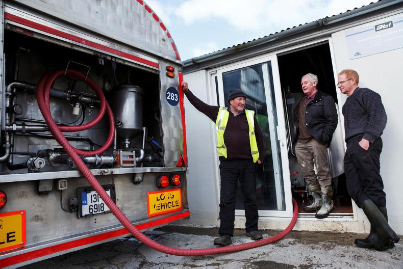 This week in photos: mart action, first milk collection and feeding cattle This week in photos: mart action, first milk collection and feeding cattle