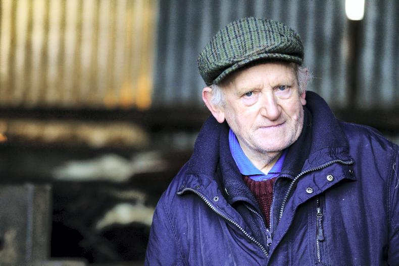 This week in photos: mart action, first milk collection and feeding cattle This week in photos: mart action, first milk collection and feeding cattle