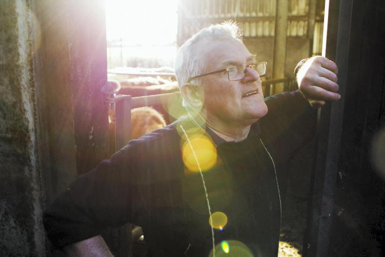 This week in photos: mart action, first milk collection and feeding cattle This week in photos: mart action, first milk collection and feeding cattle