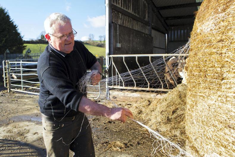 This week in photos: mart action, first milk collection and feeding cattle This week in photos: mart action, first milk collection and feeding cattle