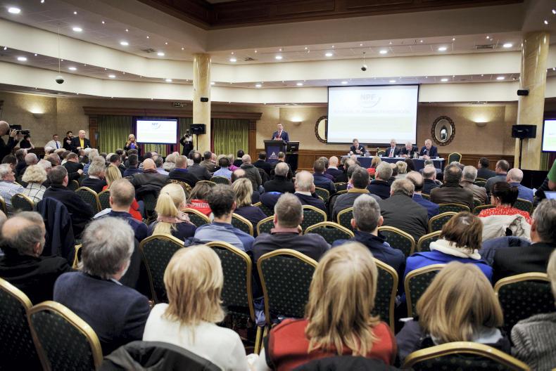 This week in photos: mart action, first milk collection and feeding cattle This week in photos: mart action, first milk collection and feeding cattle