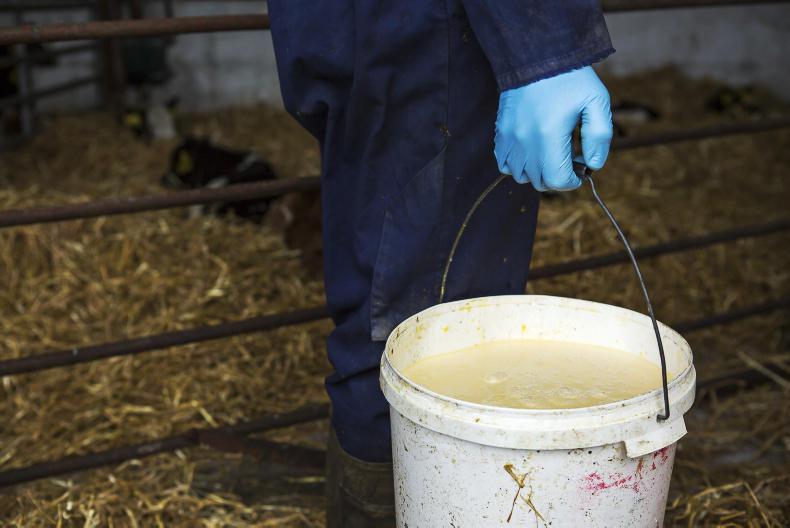 This week in photos: mart action, first milk collection and feeding cattle This week in photos: mart action, first milk collection and feeding cattle