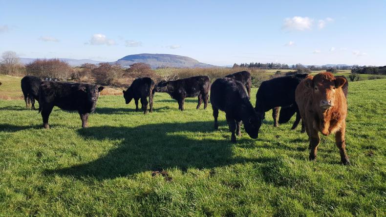 Farmer writes: ‘Control the controllables’ to improve your farm finances Farmer writes: ‘Control the controllables’ to improve your farm finances