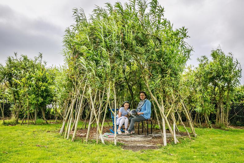 The outdoor classroom: Starting a school garden with Maura Sheehy The outdoor classroom: Starting a school garden with Maura Sheehy