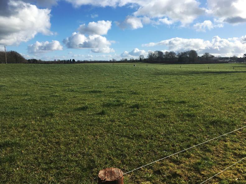 Listen: Rocky start to calving on Tullamore Farm Listen: Rocky start to calving on Tullamore Farm