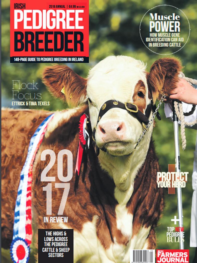 Irish Pedigree Breeder 2018 out now Irish Pedigree Breeder 2018 out now