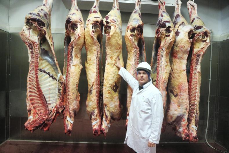 Going native at MacDuff Going native at MacDuff