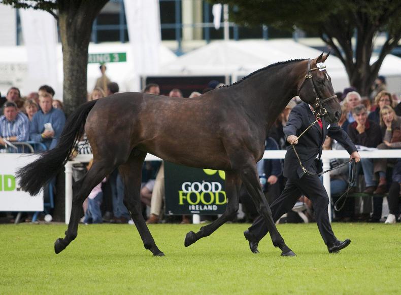 2018 BREEDING ADVICE: Looking to breed an eventer? 2018 BREEDING ADVICE: Looking to breed an eventer?