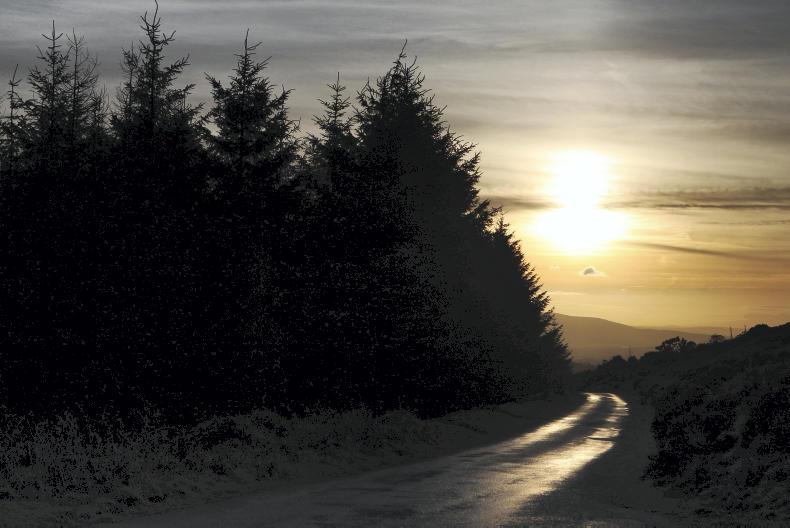 Forestry mid-term review falls short Forestry mid-term review falls short