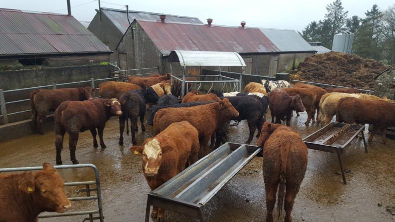 Watch: cut out vaccines but at what cost? Watch: cut out vaccines but at what cost?