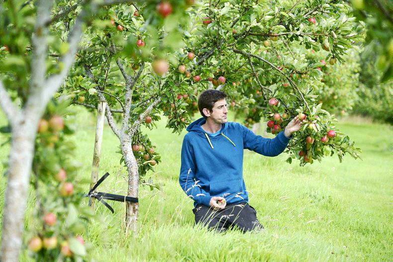 Cyrenians: Changing lives through farming in Edinburgh Cyrenians: Changing lives through farming in Edinburgh