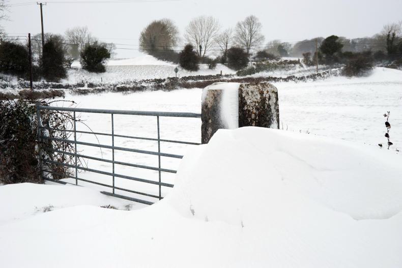 Dairy management notes Dairy management notes