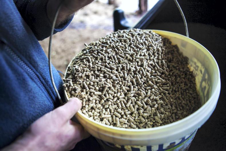 Beef finishing nut prices show large variation Premium