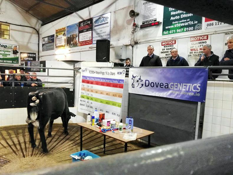 '€12,000 won’t attract young people to suckler farming' '€12,000 won’t attract young people to suckler farming'